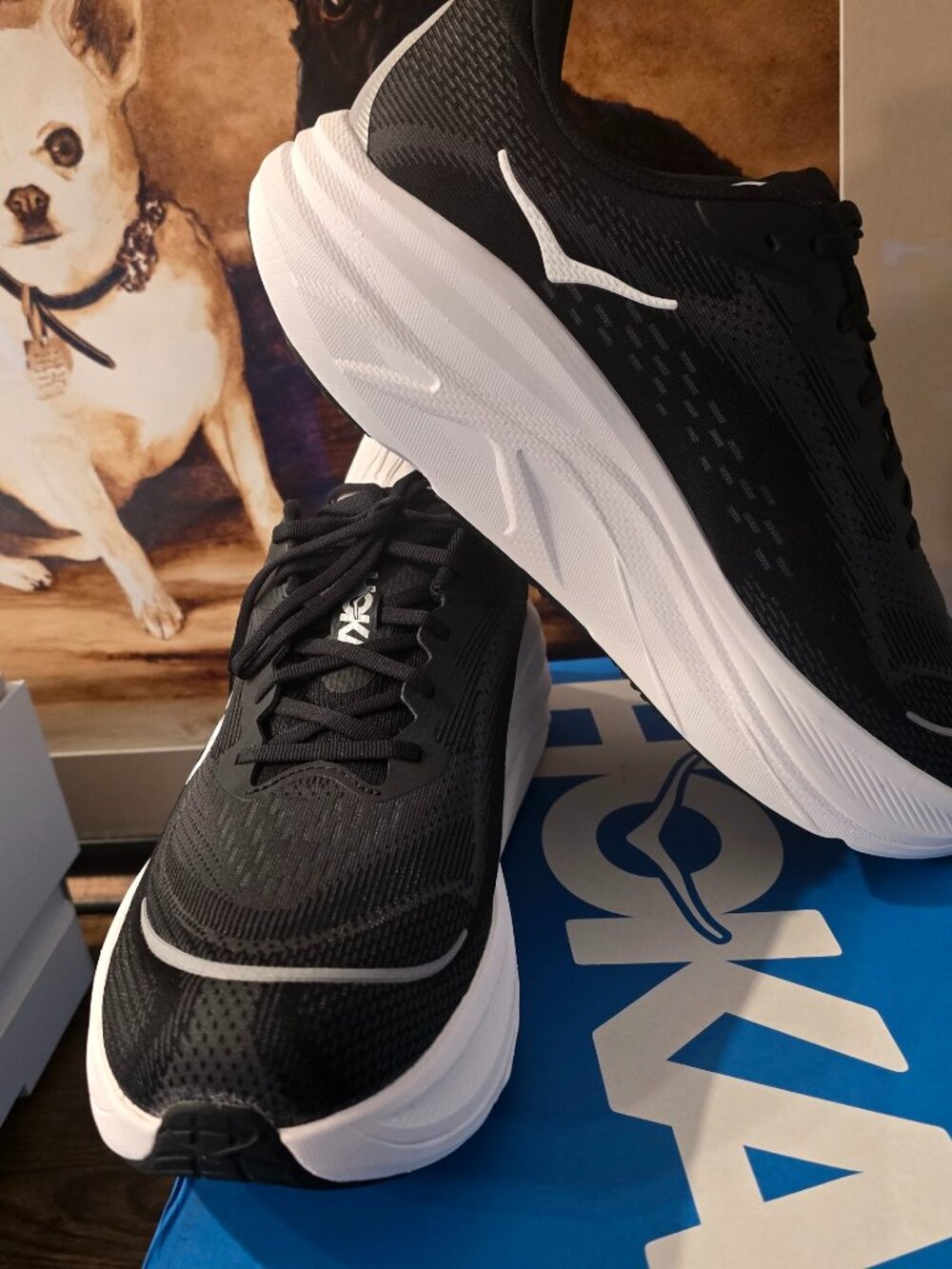 Hoka One One Skyflow Black / White 1155117-BWHT Men's Size 10.5 EE Wide New